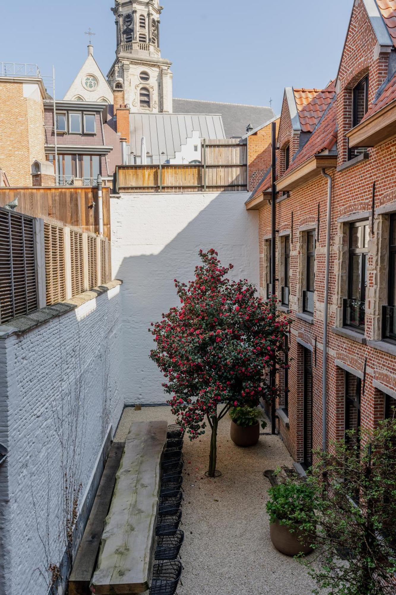 Btfl Living Antwerp