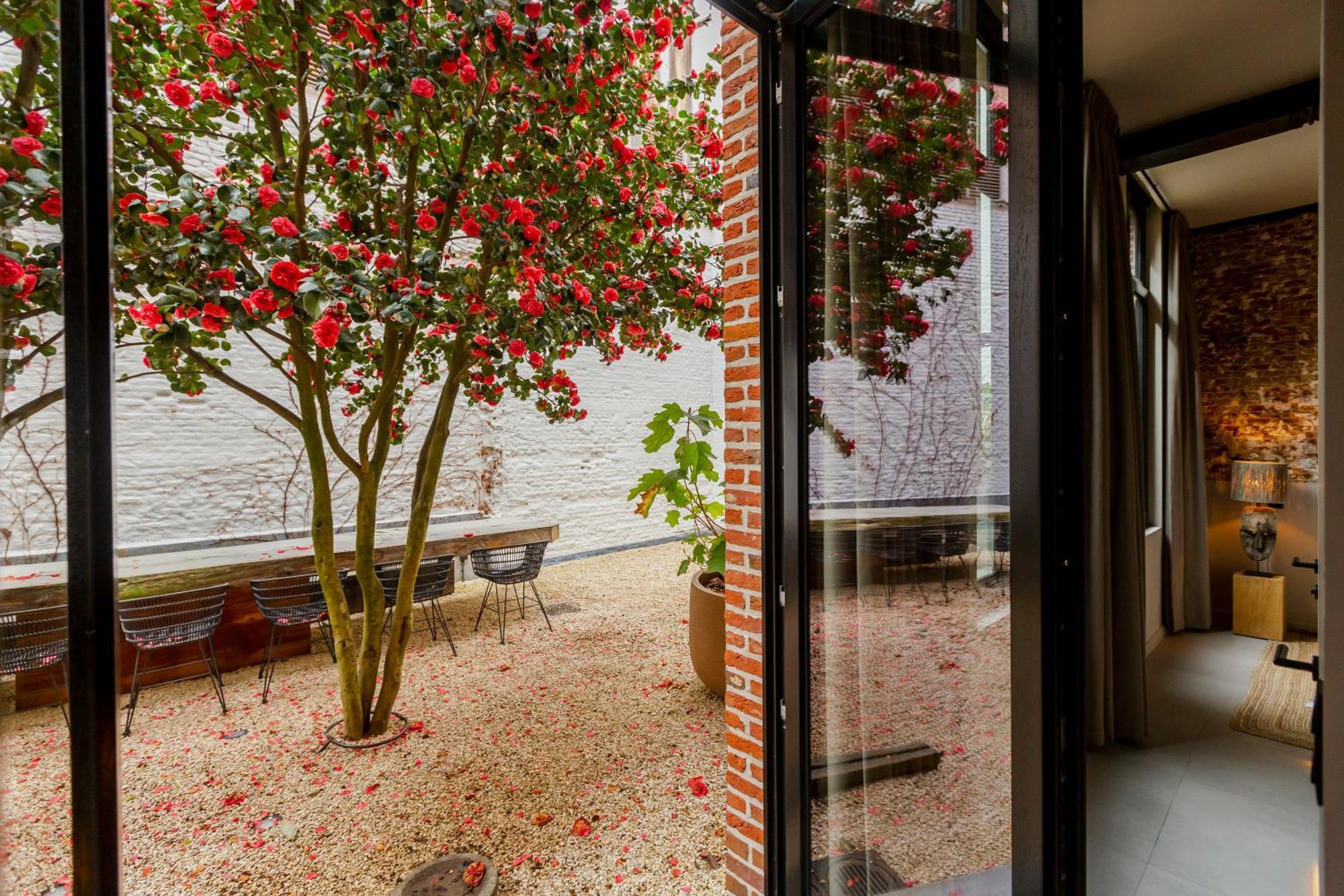 Btfl Living Apartment *
